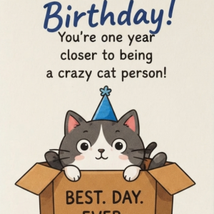 Box Cat Greeting Card